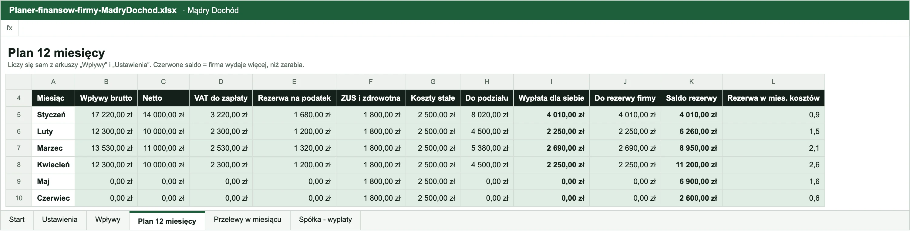Podgląd arkusza Plan 12 miesięcy w Planerze finansów firmy